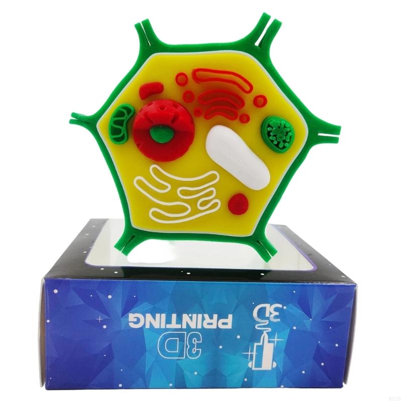 Professional Animal Plant Cell - Medical Lab Study 评论和价格