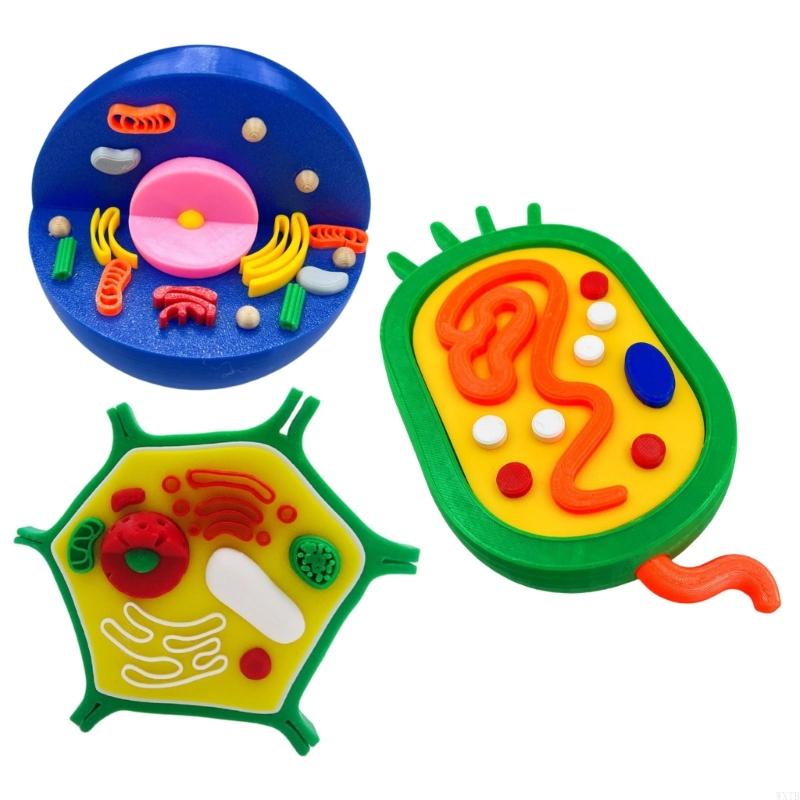Professional Animal Plant Cell - Medical Lab Study 评论和价格