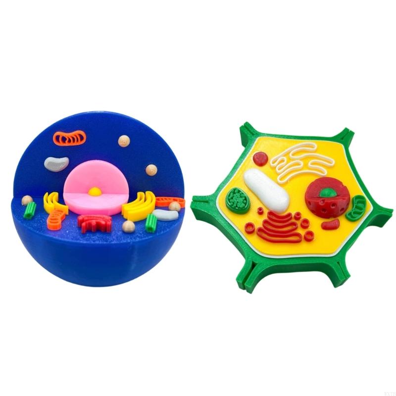 Professional Animal Plant Cell - Medical Lab Study 评论和价格