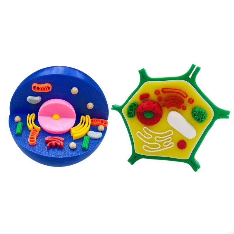 Professional Animal Plant Cell - Medical Lab Study 评论和价格